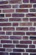 Bricks