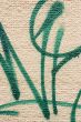 grafitti