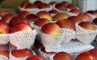 Apples stand