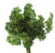 Parsley