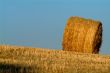 strohballen | straw bale