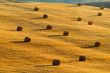 strohballen | straw bale