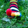 toesocks 5 | toesocks 5
