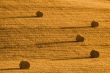 strohballen | straw bale