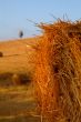 strohballen | straw bale