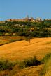volterra | volterra