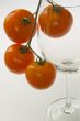 Tomatoes in glass