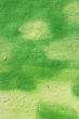 green painted wall