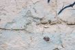 old wall background