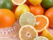 citrus squeezer