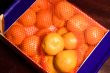 clementines