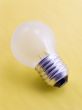 Electric bulb