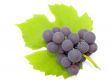 Cluster of a grapes