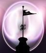 Wind-vane
