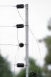 Electric wired fence 1