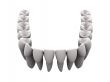 Lower teeth 1