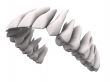 Upper teeth 2