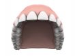 Upper teeth with gums
