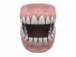 Teeth and gums open