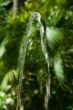Spurt of water