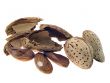 Almond nuts