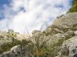 Spring day in mountains