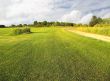 Green field