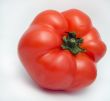 Red tomato