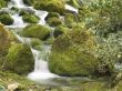 The spring mountain river