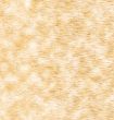 Plywood