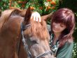 brunette female model closeup with brovn horse