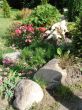 Flower bed blossoming