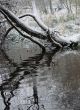 First season snowfall River
