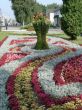 Flower bed blossoming