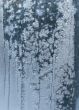 Hoarfrost on window glass in frosty weather