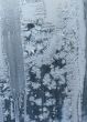 Hoarfrost on window glass