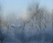 Hoarfrost on window glass in frosty weather