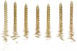 Close up  screw
