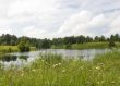 Landscape with lake