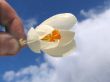 Blossoming