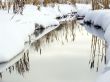 The winter river in a wood