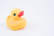 rubber duck