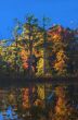 fall colors