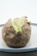 baked potato