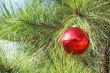 Christmas ornament