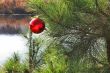 Christmas ornament