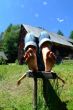 pause auf der Alm