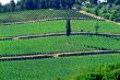 toskana | toscana