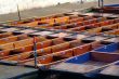 boote | boats