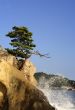 Matsushima